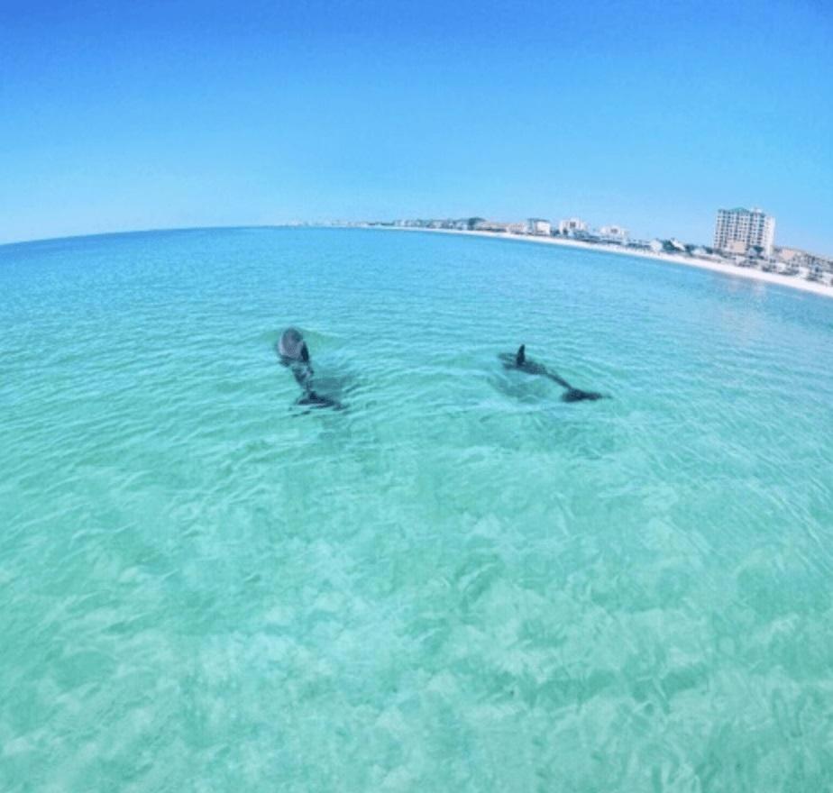 Slt #2043 - Stunning View! Free Beach Service! Destin Exterior photo